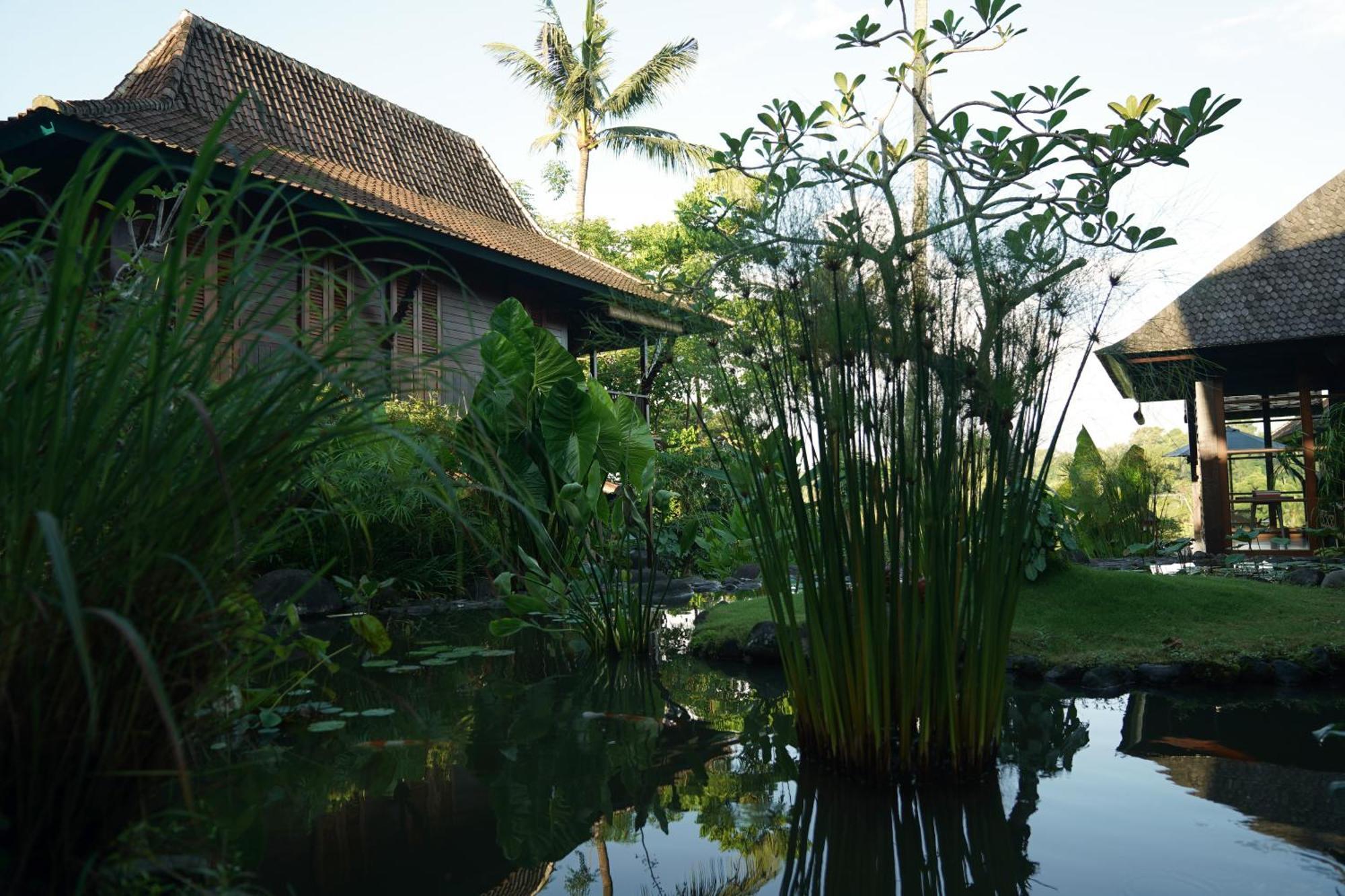 Villa Amaru Ubud Exteriér fotografie